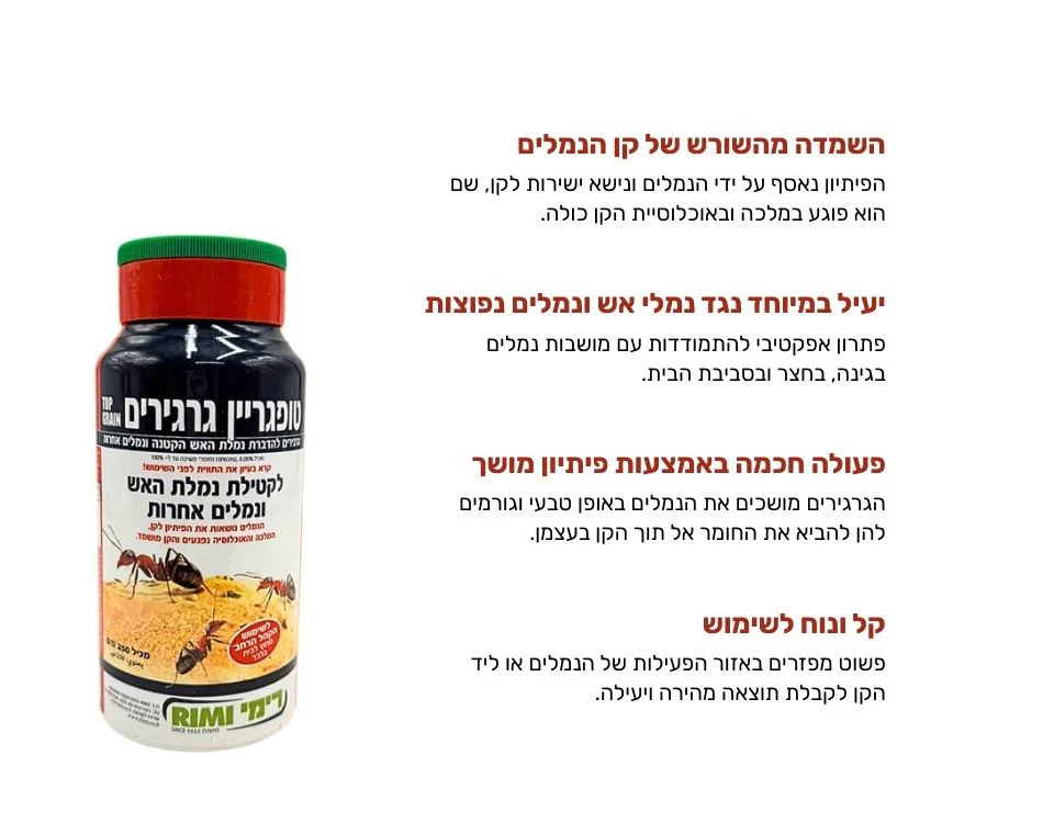 תמונת מוצר 2