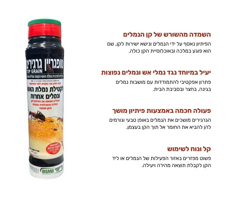תמונת מוצר 2