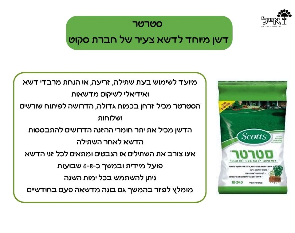 תמונת מוצר 2
