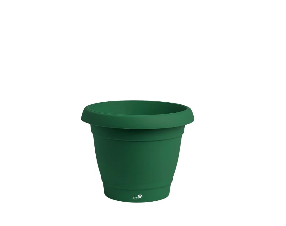 תמונת מוצר 1
