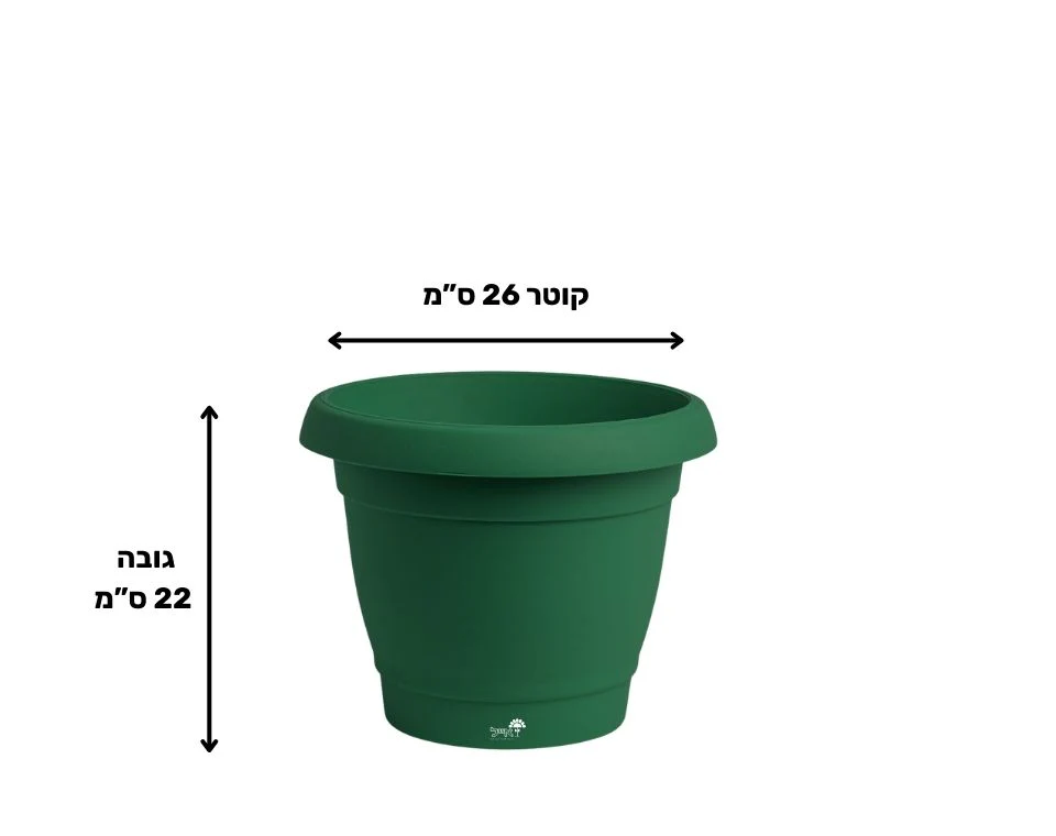 תמונת מוצר 2