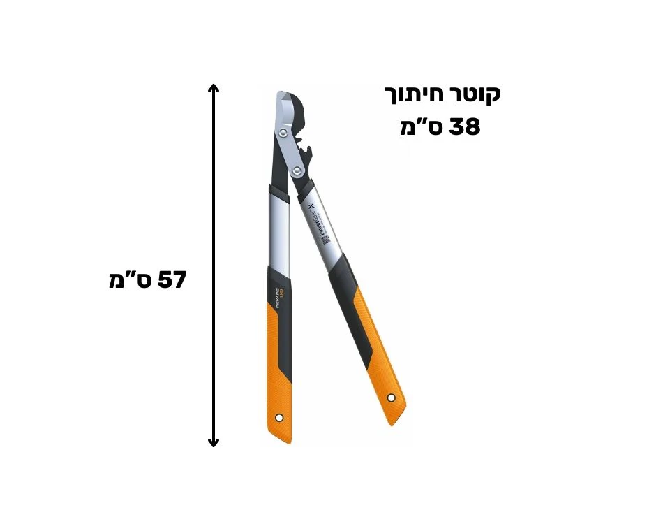 תמונת מוצר 2