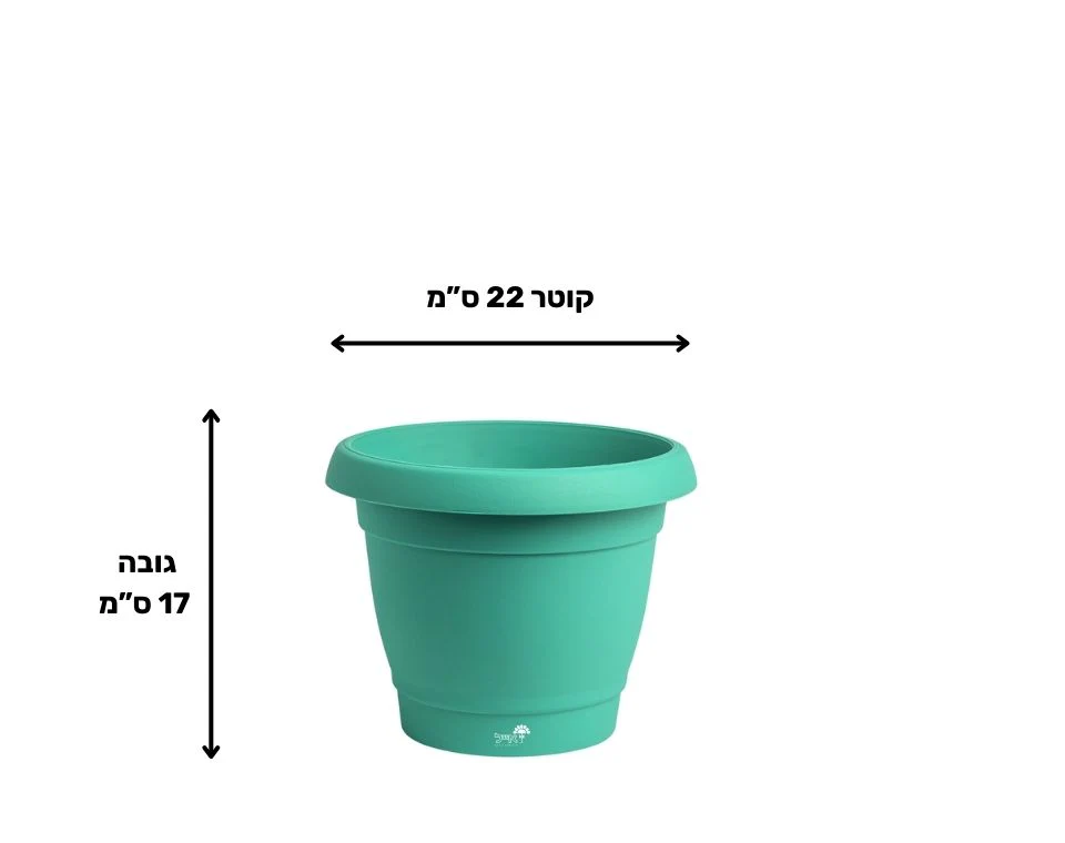תמונת מוצר 2