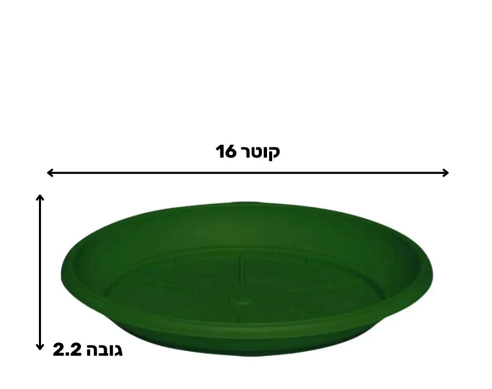 תמונת מוצר 2