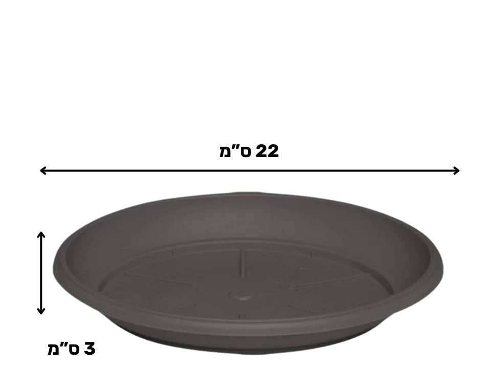 תמונת מוצר 2