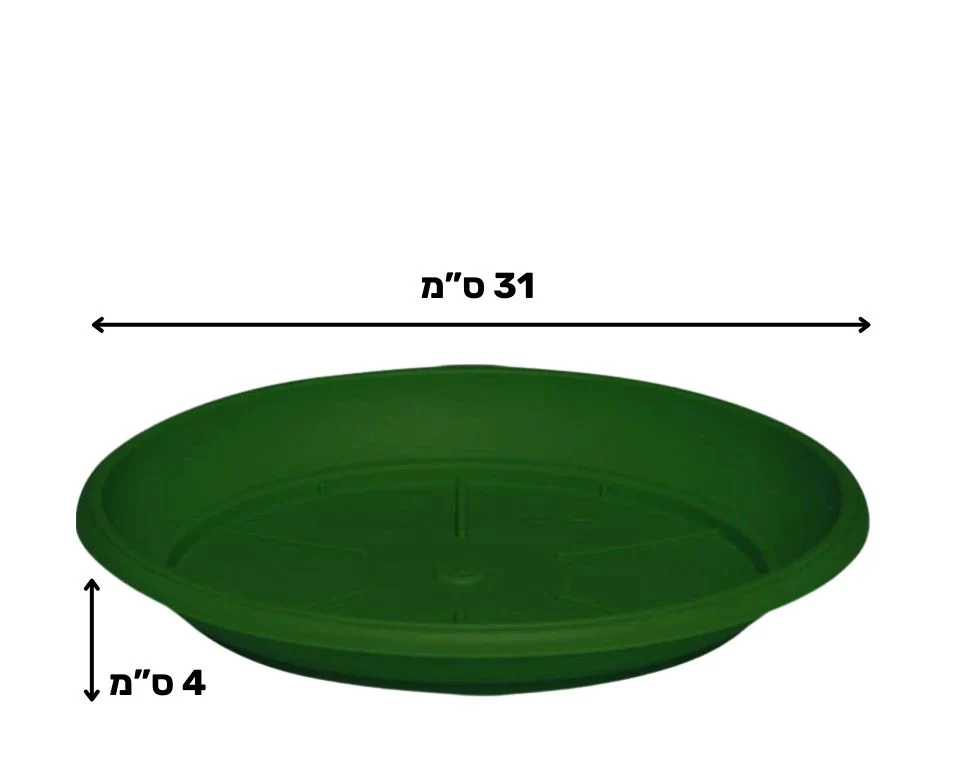 תמונת מוצר 2