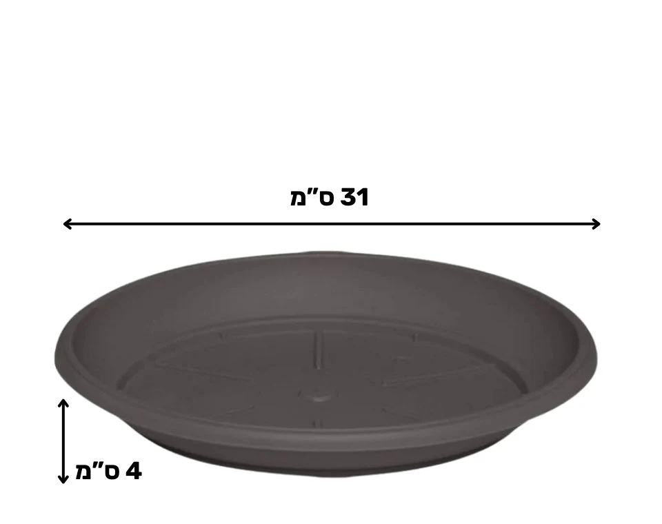 תמונת מוצר 2