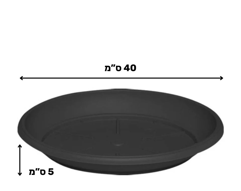 תמונת מוצר 2