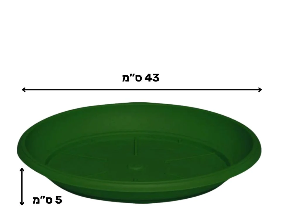 תמונת מוצר 2
