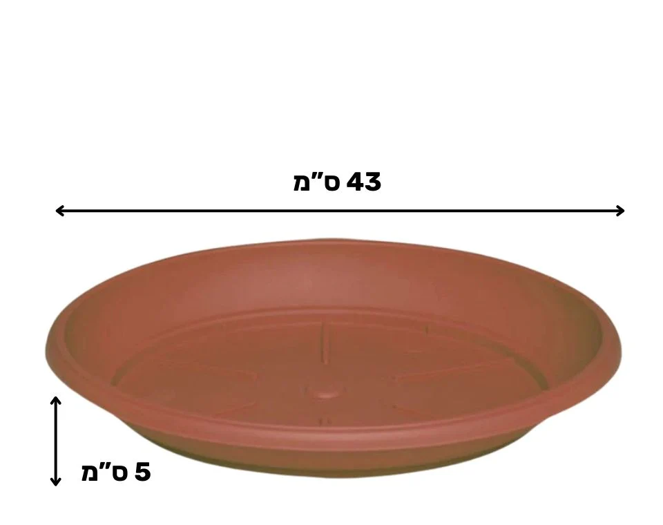 תמונת מוצר 2