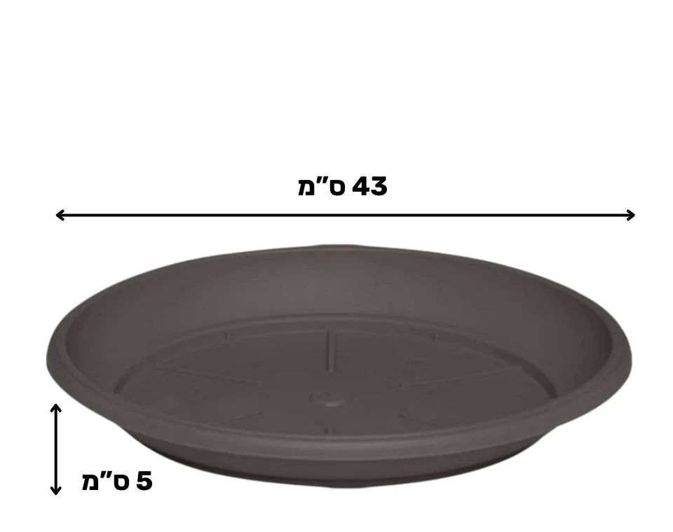 תמונת מוצר 2