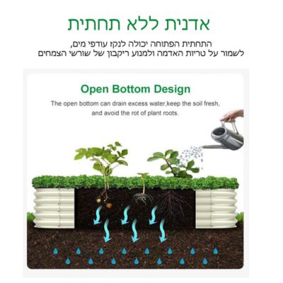 תמונת מוצר 6
