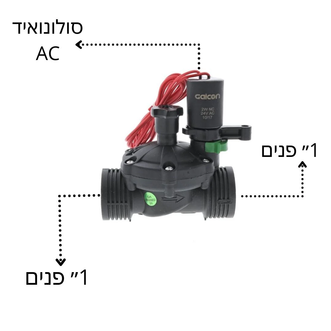 תמונת מוצר 2