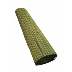 תמונת מוצר 1