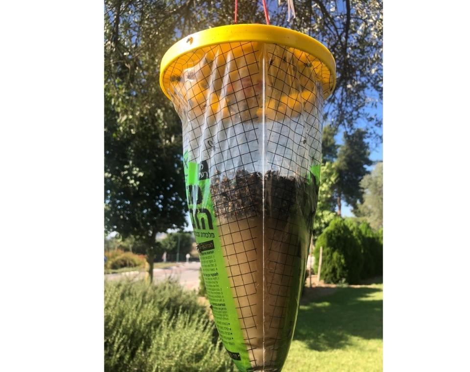 תמונת מוצר 3