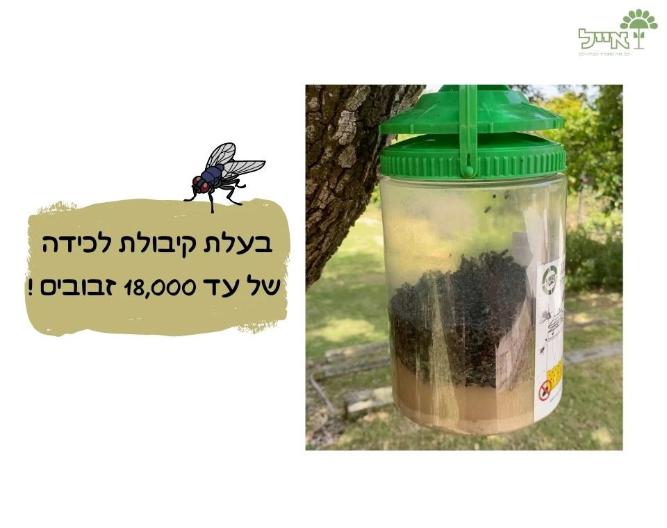 תמונת מוצר 4