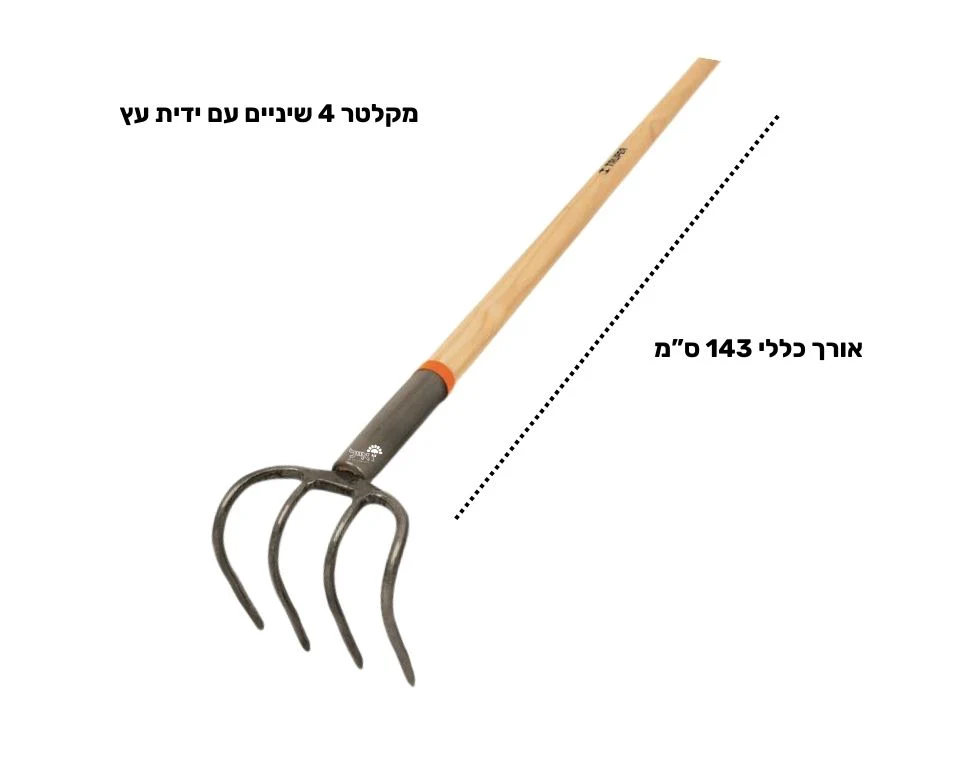 תמונת מוצר 2