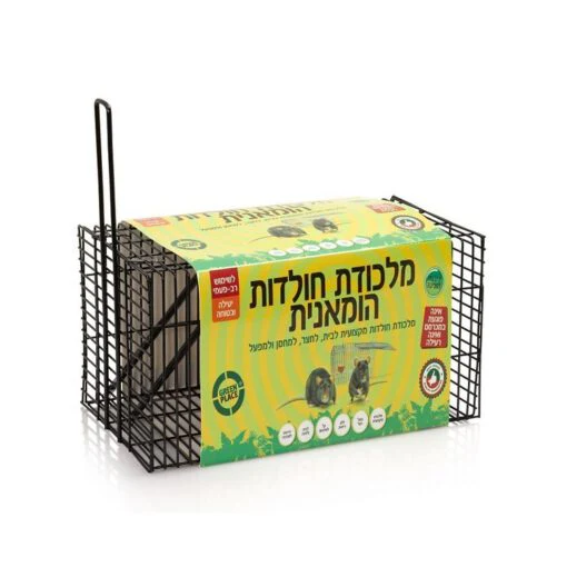 תמונת מוצר 1