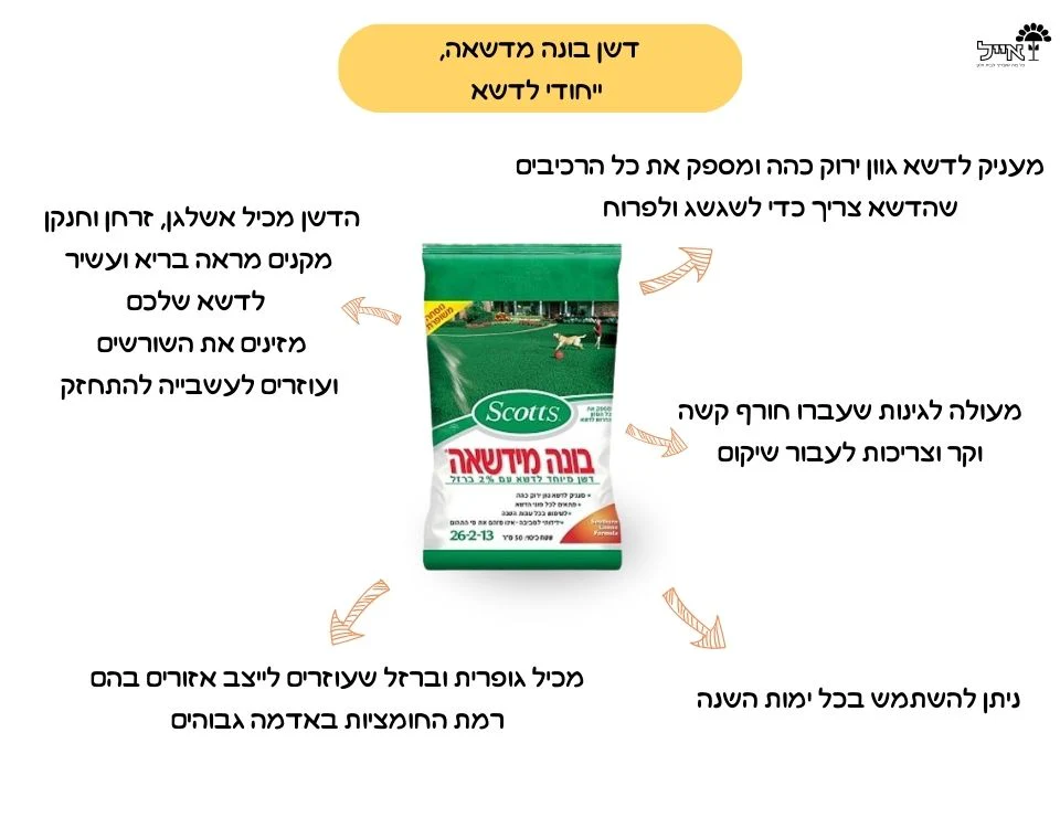 תמונת מוצר 2