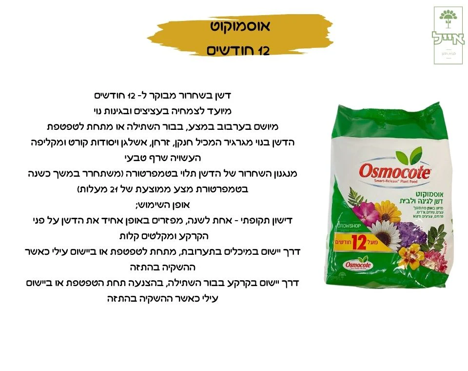 תמונת מוצר 2