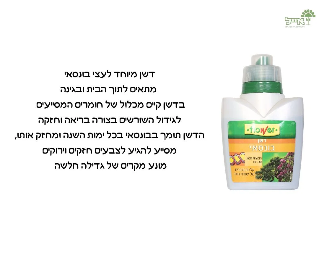 תמונת מוצר 3