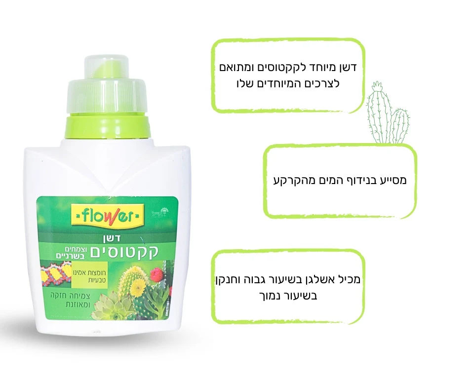 תמונת מוצר 3
