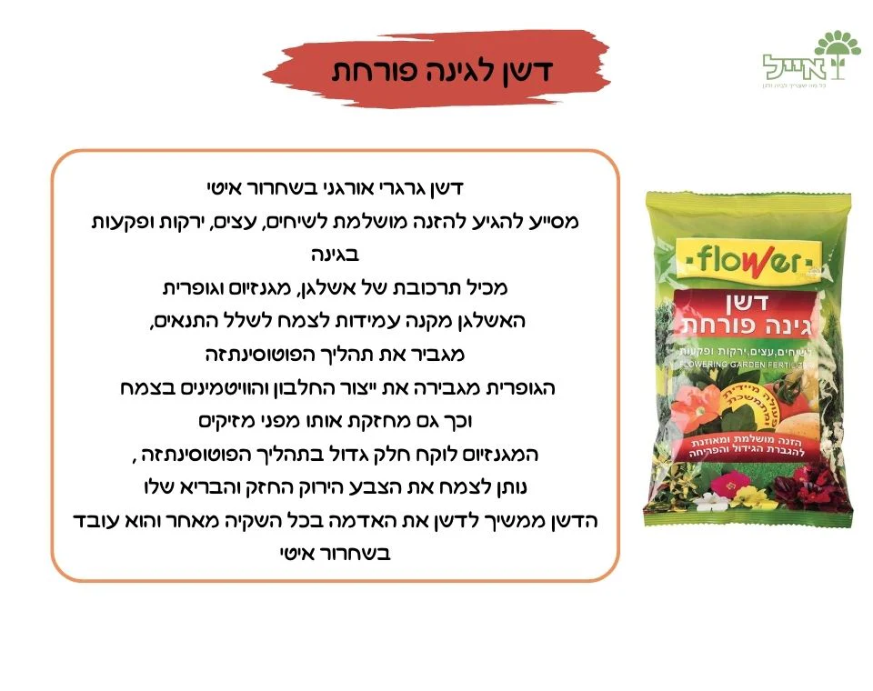 תמונת מוצר 2