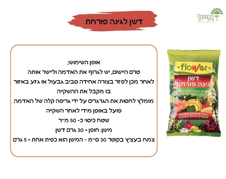 תמונת מוצר 3