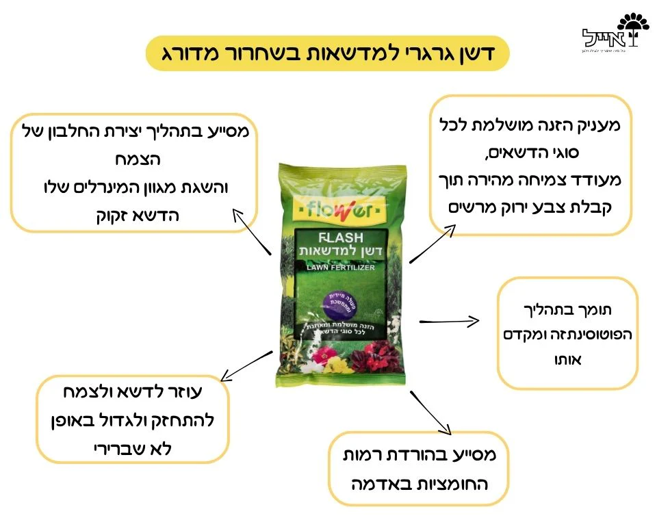 תמונת מוצר 3