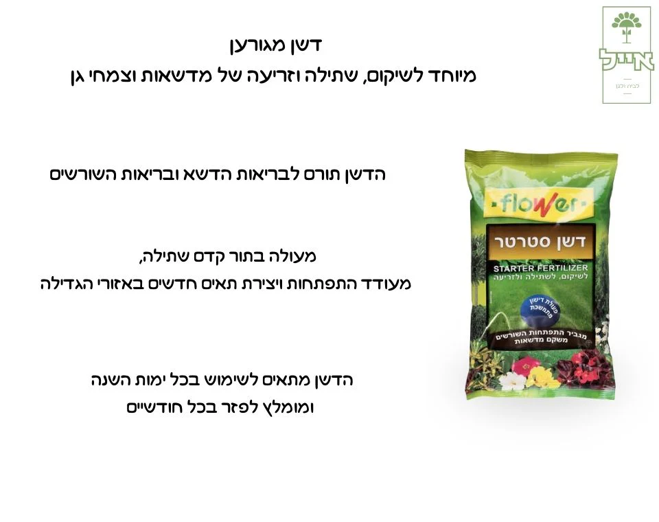 תמונת מוצר 3