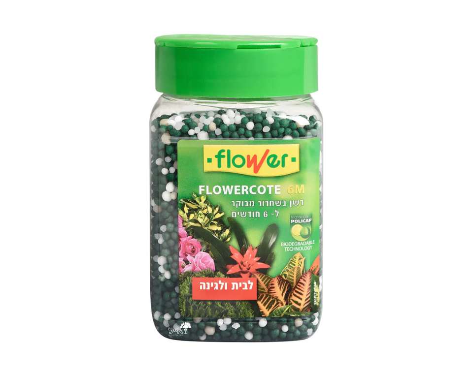 תמונת מוצר 1