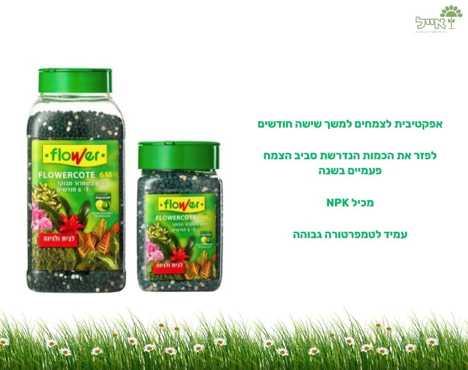 תמונת מוצר 2