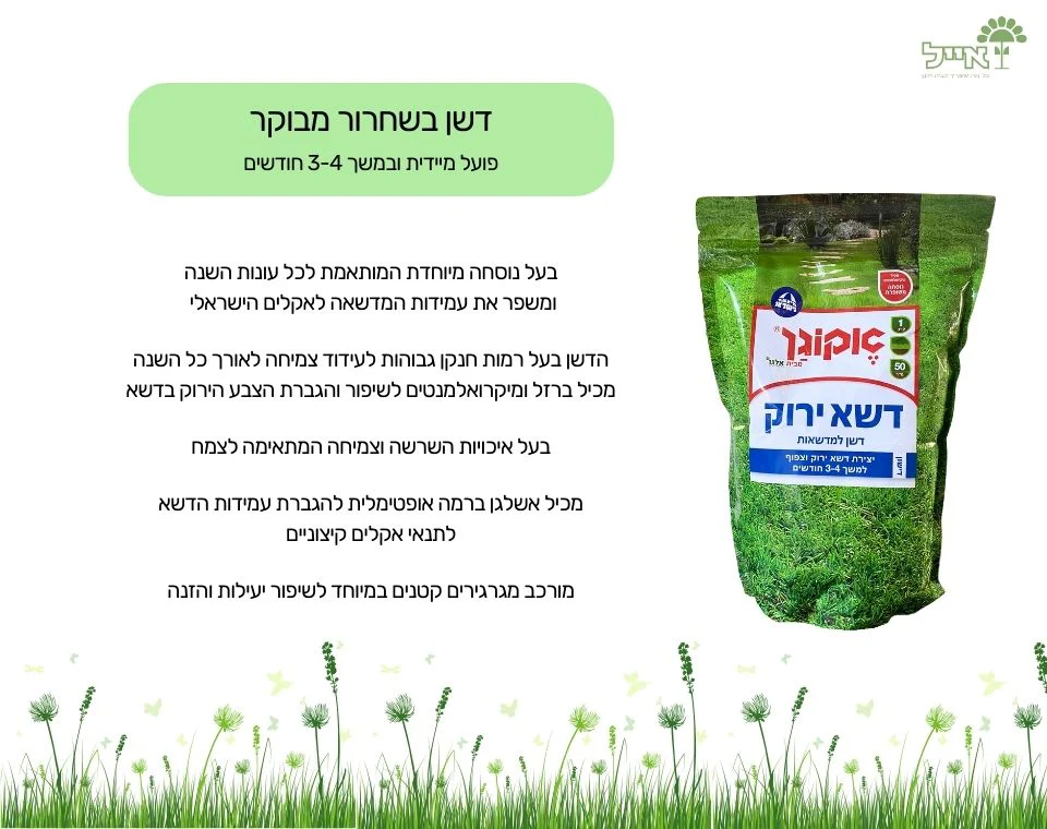 תמונת מוצר 3