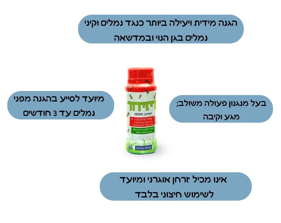 תמונת מוצר 2