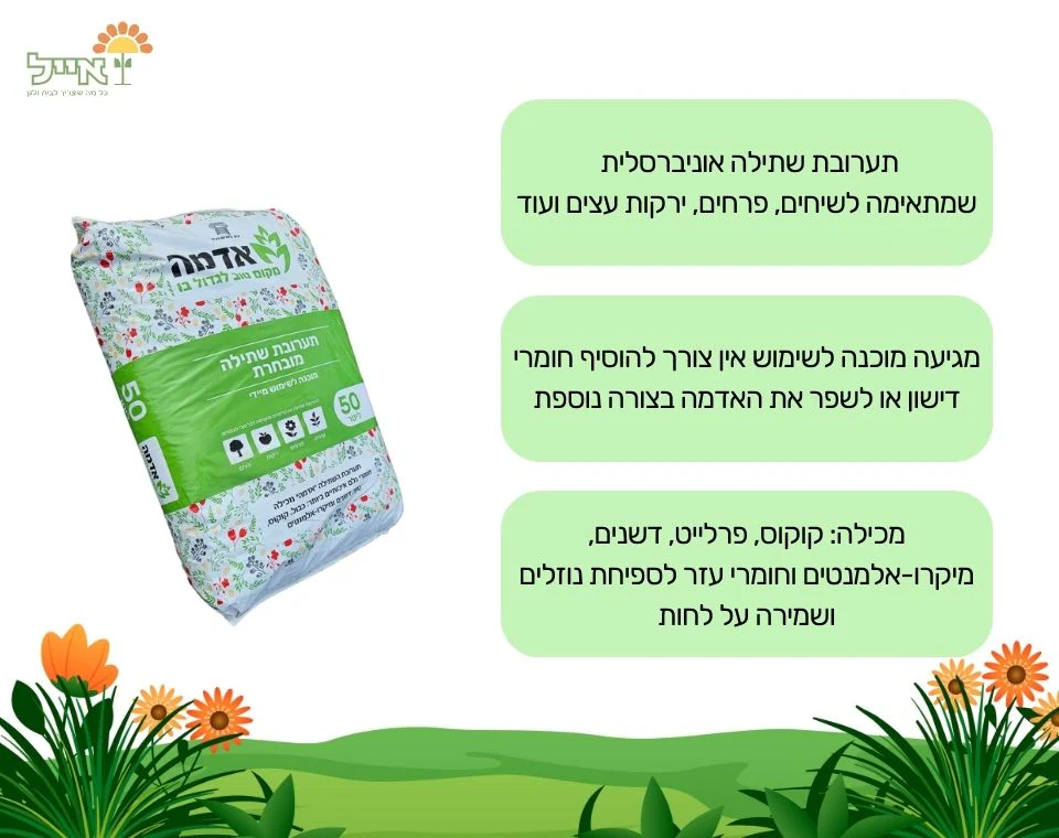 תמונת מוצר 2