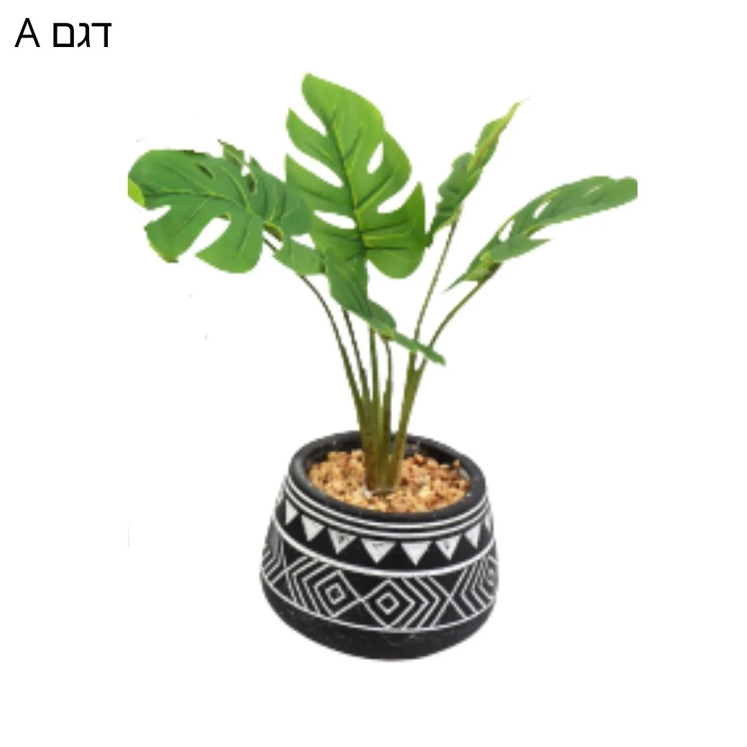 תמונת מוצר 3