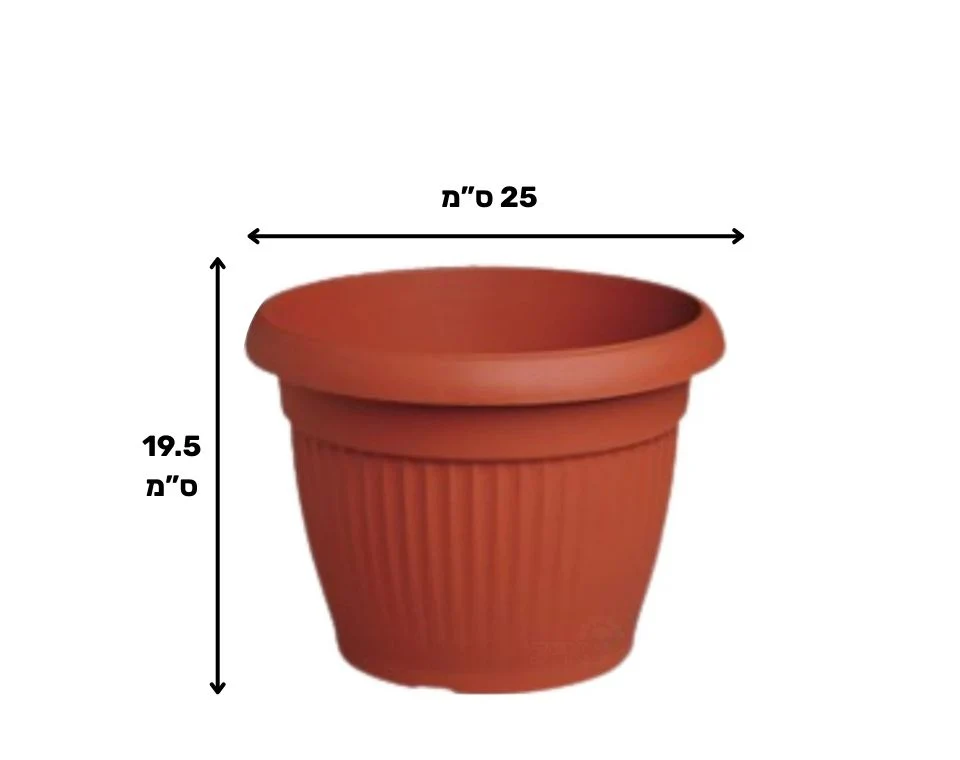 תמונת מוצר 2