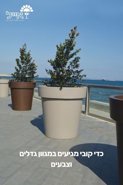 תמונת מוצר 5
