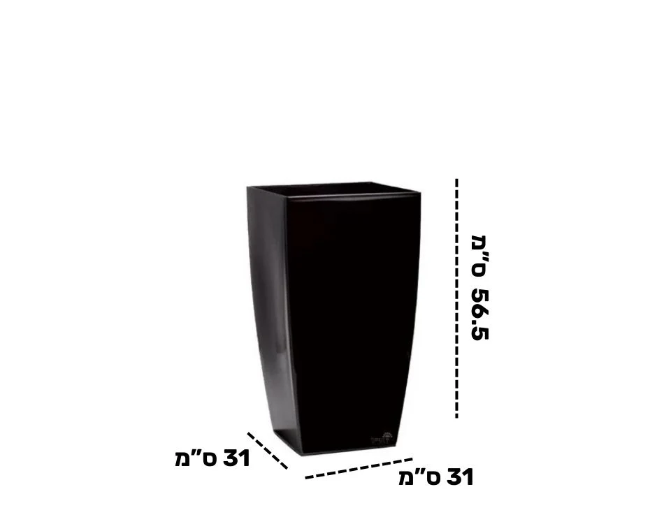 תמונת מוצר 2