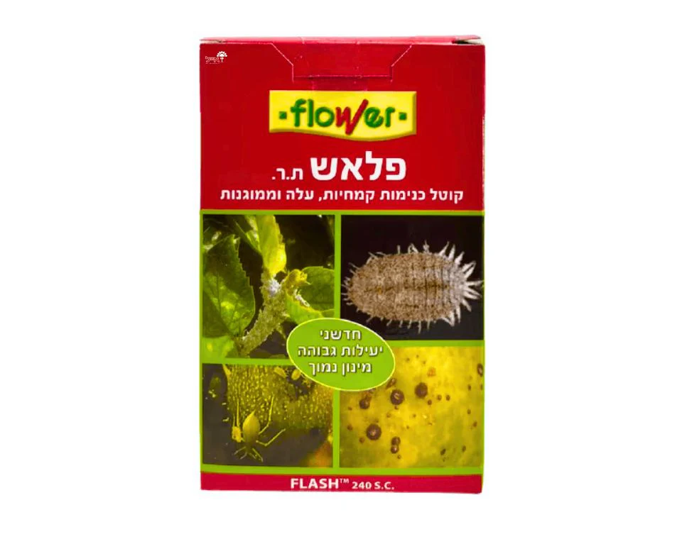 תמונת מוצר 1