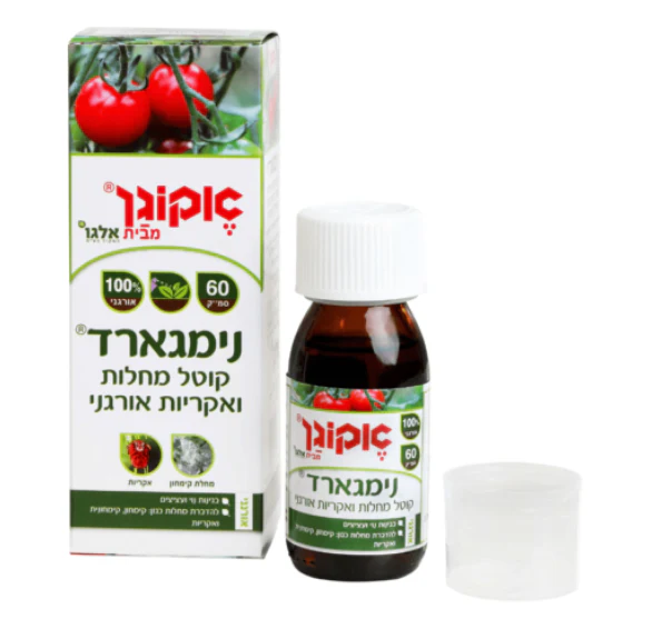 תמונת מוצר 2