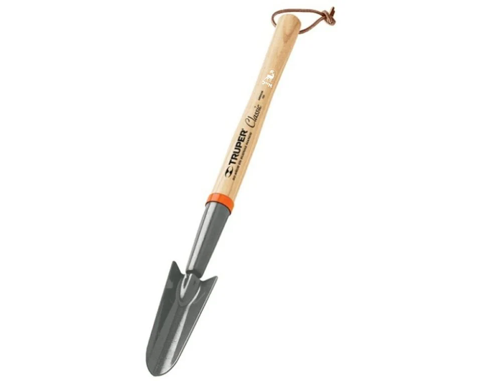 תמונה ממוזערת 1