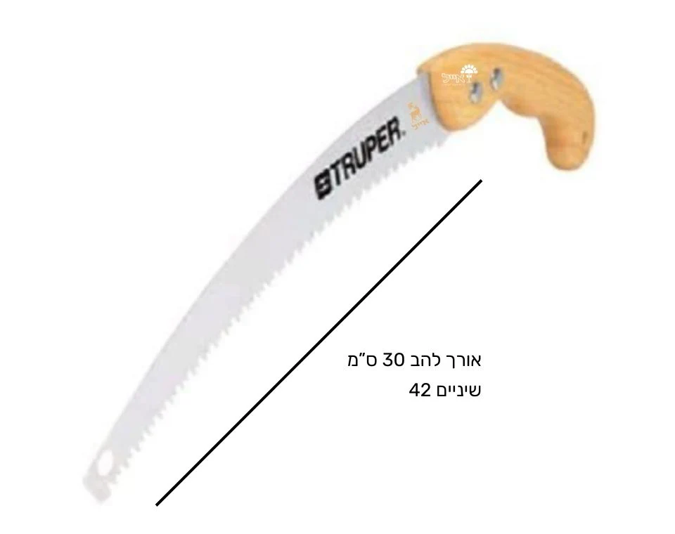 תמונת מוצר 2