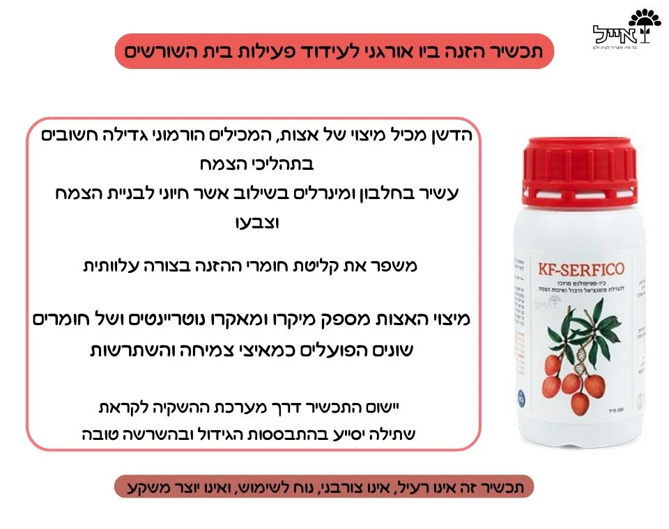 תמונת מוצר 2