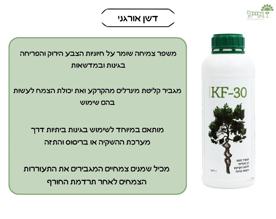 תמונת מוצר 2
