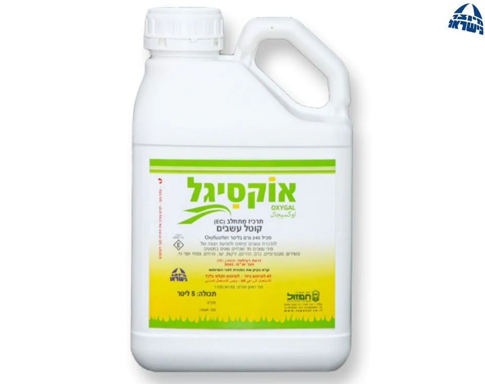 תמונת מוצר 1
