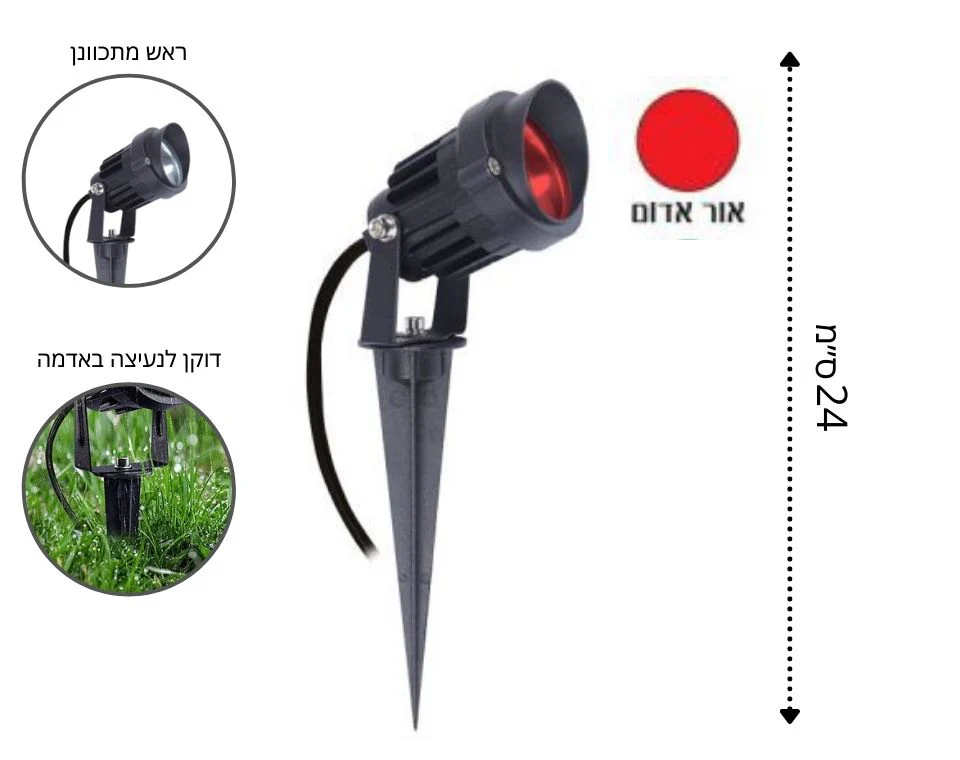 תמונת מוצר 2