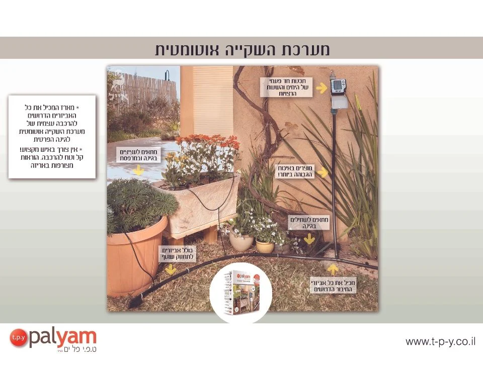 תמונת מוצר 2