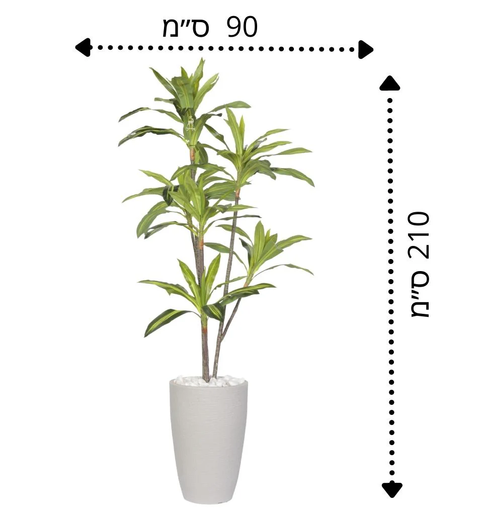 תמונת מוצר 2