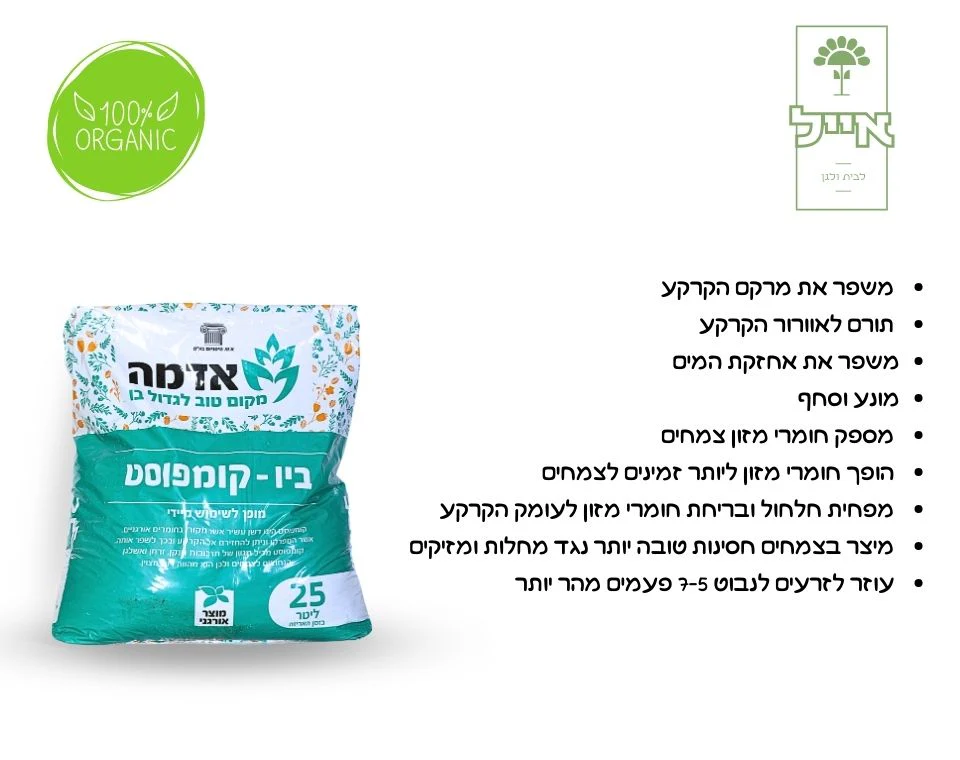 תמונת מוצר 3